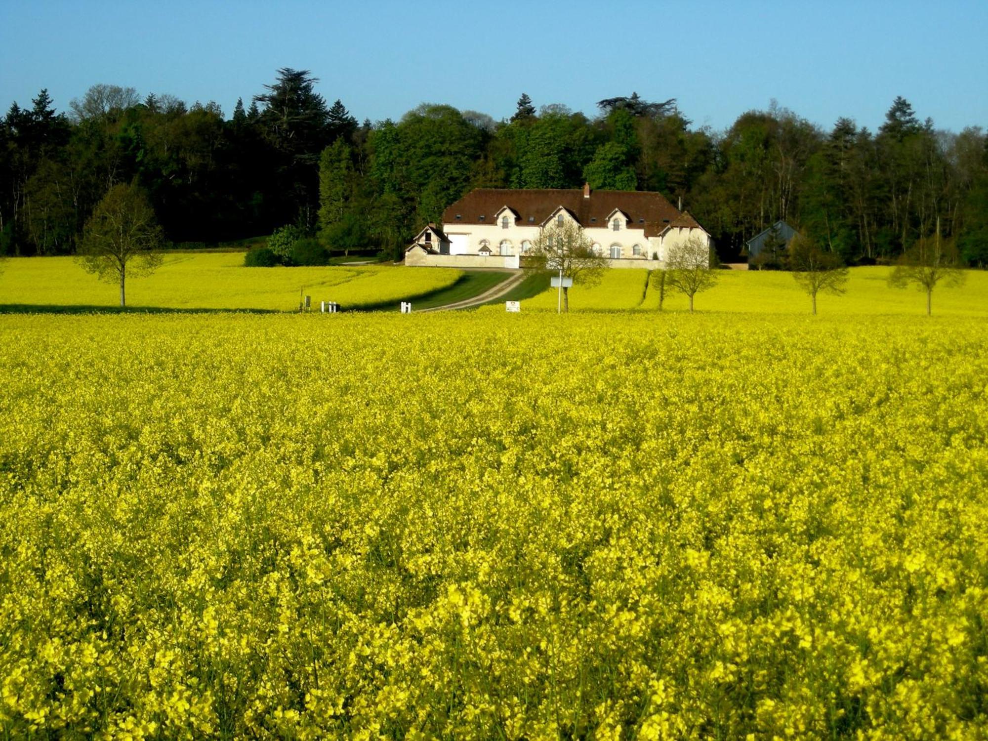 Domaine de la Maison Neuve Saint-Jean-Saint-Germain Extérieur photo