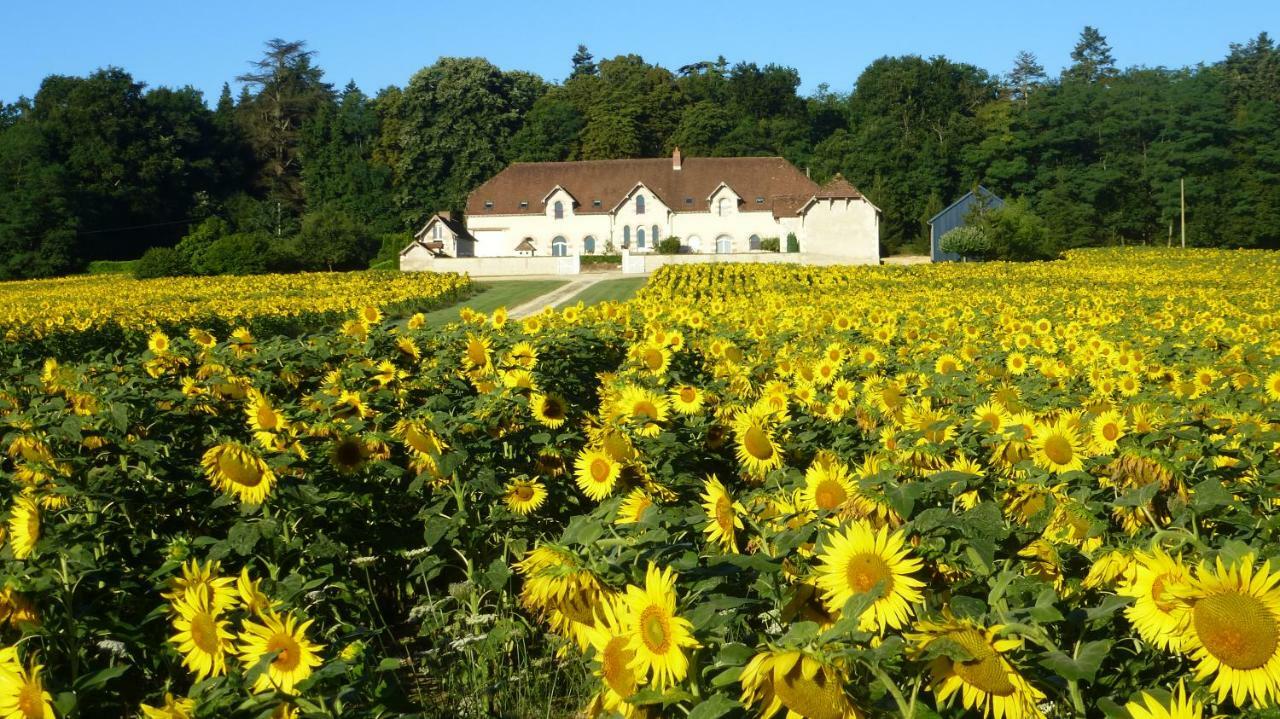 Domaine de la Maison Neuve Saint-Jean-Saint-Germain Extérieur photo