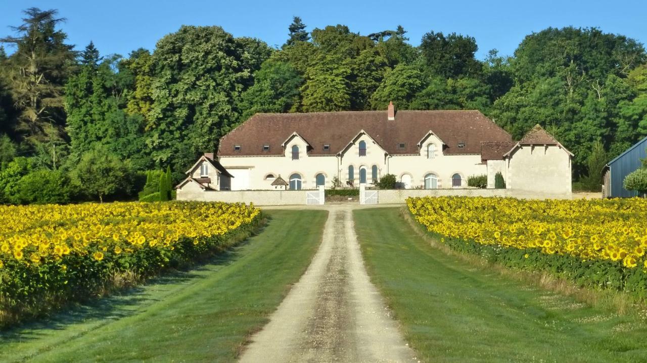 Domaine de la Maison Neuve Saint-Jean-Saint-Germain Extérieur photo